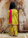 K24SG448YE(2) (1).webp