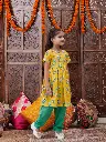 KS-YELLOWPARROT_3_676cdb52-4cb2-48e8-863c-26d591e7fe50_1024x1024.webp