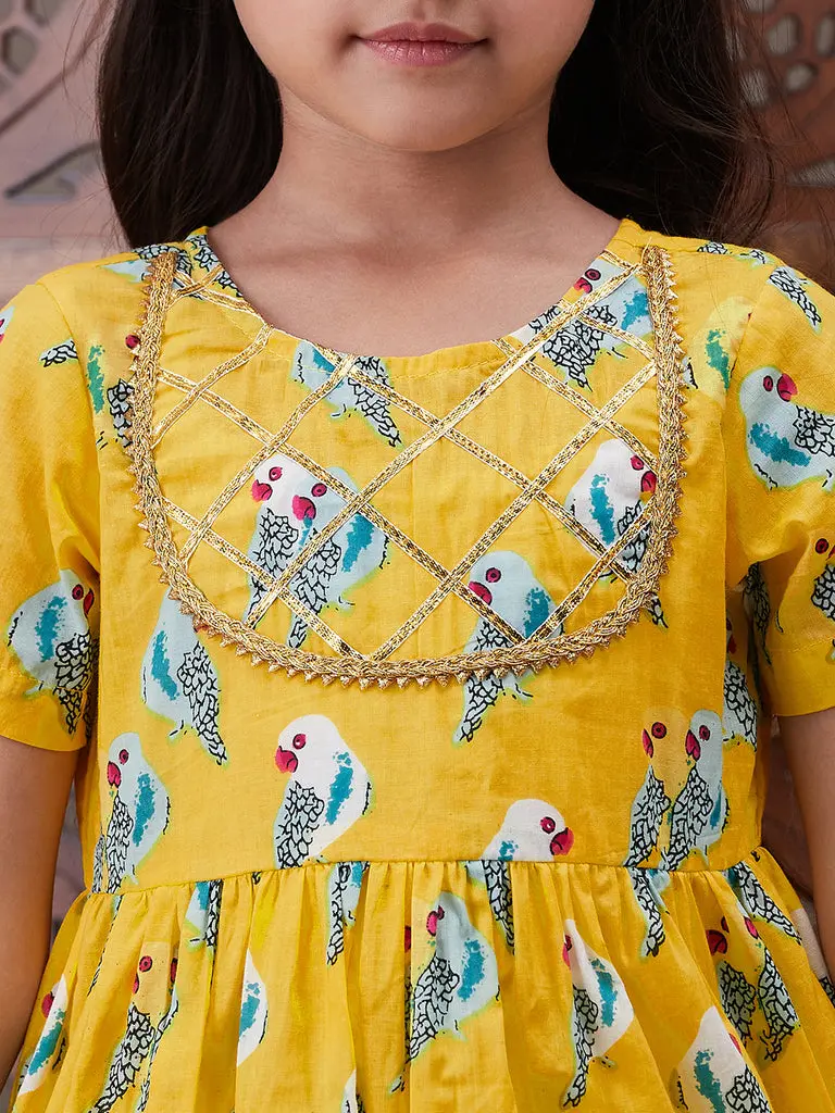 KS-YELLOWPARROT_5_7a8a4cf5-29ba-4496-aed5-35485dd8df74_1024x1024.webp